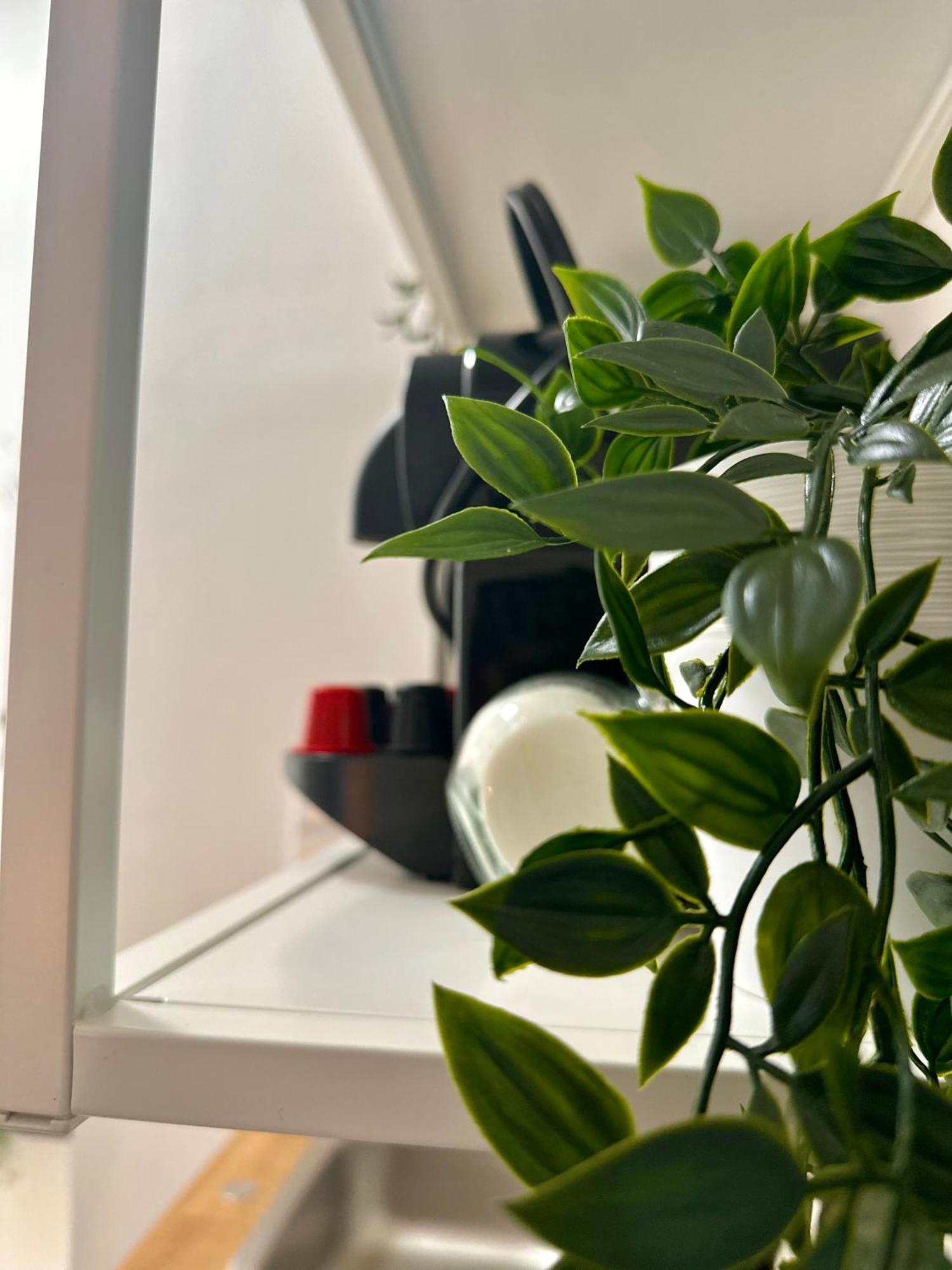 Cozy Centre Apartments Budapeszt Zewnętrze zdjęcie