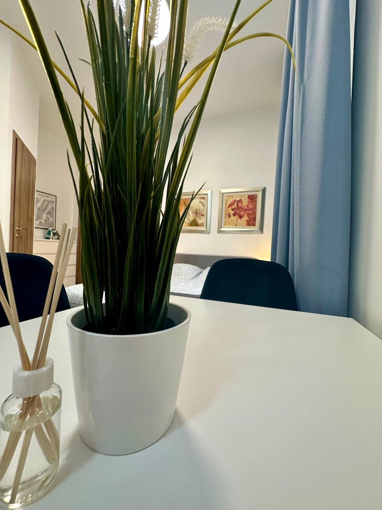 Cozy Centre Apartments Budapeszt Zewnętrze zdjęcie